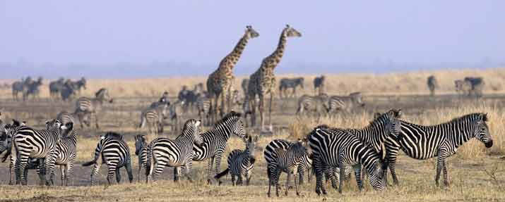 South And West Tanzania