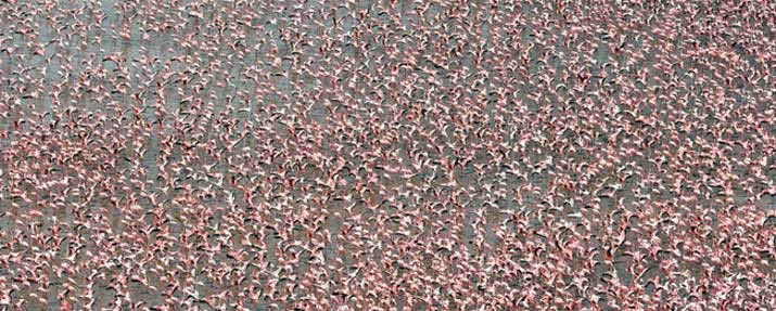 Rift Valley Lakes