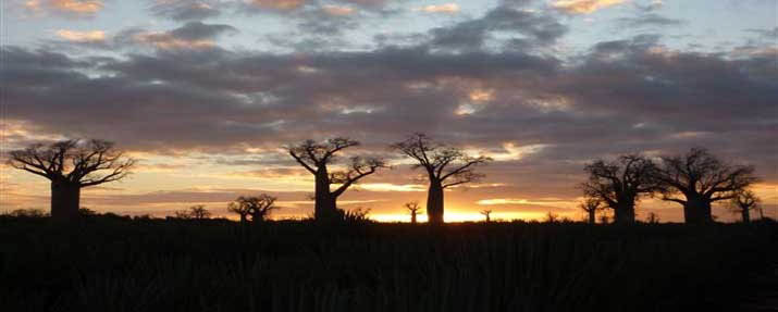 Madagascar