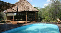 Impala Camp