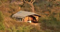 Nomad Serengeti Safari Camp
