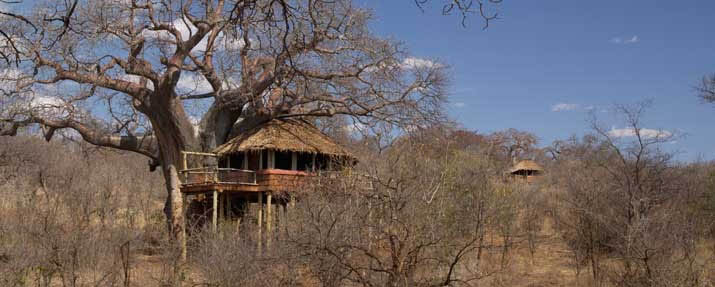 Tarangire Treetops
