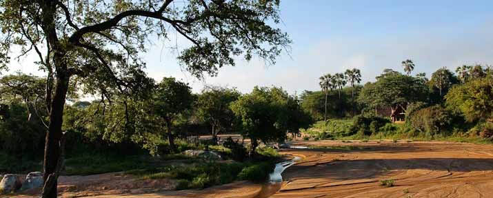 Mwagusi