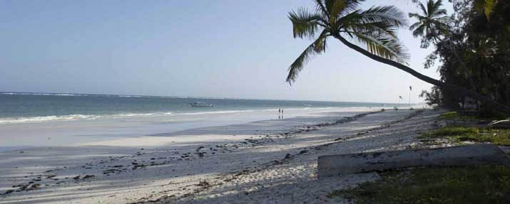 Diani House