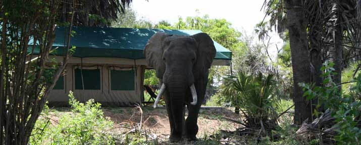 Lake Manze Tented Camp