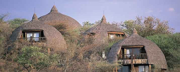 Serengeti Serena