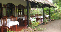 Moivaro Coffee Estate