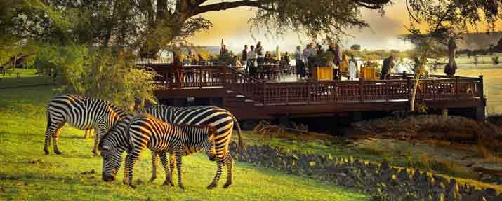 The Royal Livingstone