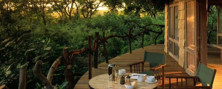 Lake Manyara Tree Lodge