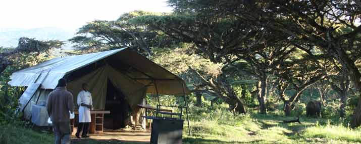 Lemala Ngorongoro