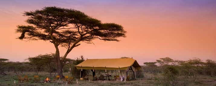 Serengeti Under Canvas