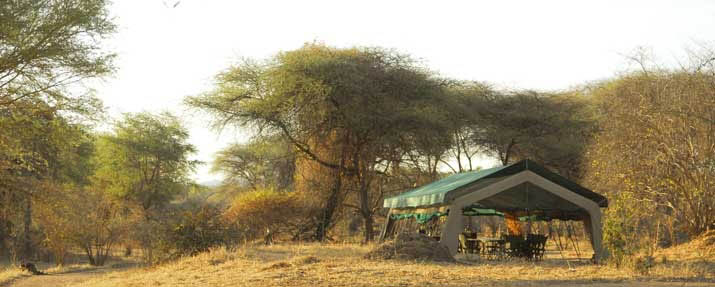 Mdonya Old River Camp