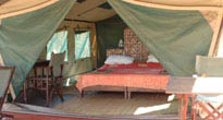Mdonya Old River Camp