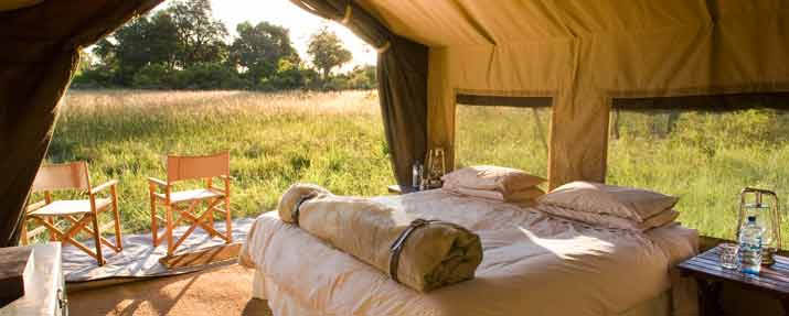 Savute Under Canvas