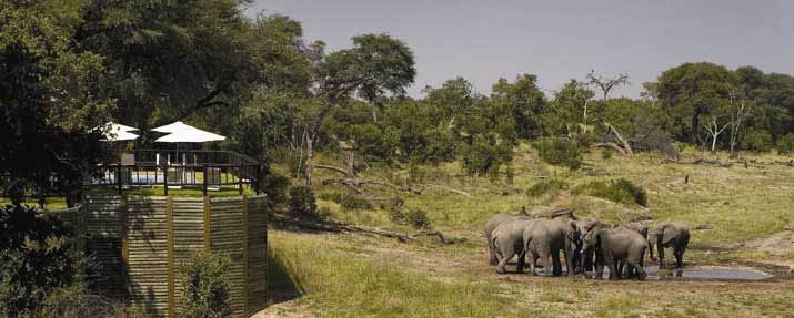 Savute Elephant Camp