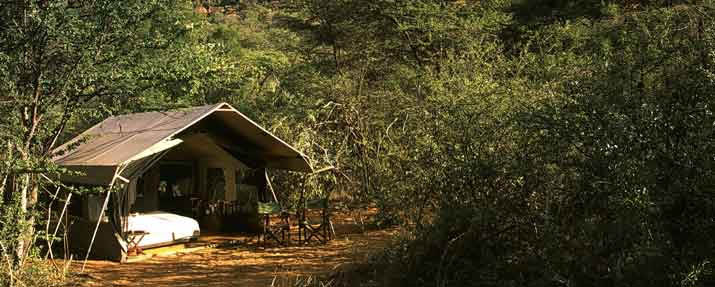 Chobe Under Canvas