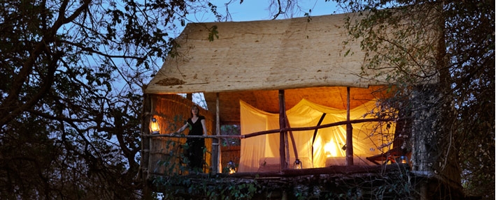 Chikoko Tree Camp