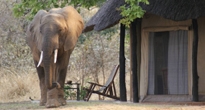 Mchenja