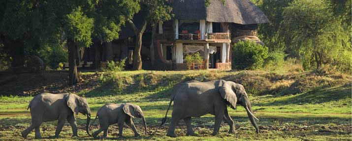 Luangwa Safari House