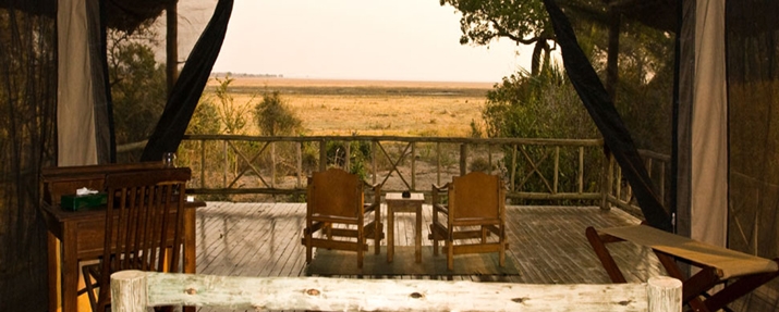 Foxes Katavi Wildlife Camp