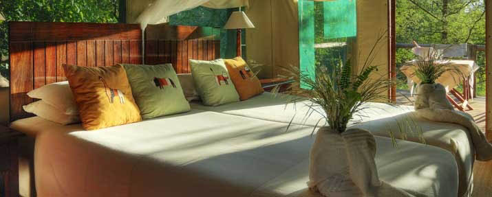 Camp Moremi