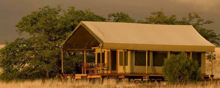 Desert Rhino Camp