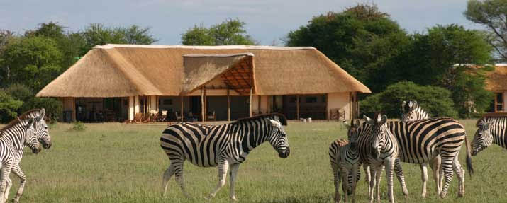 Nxai Pan Camp