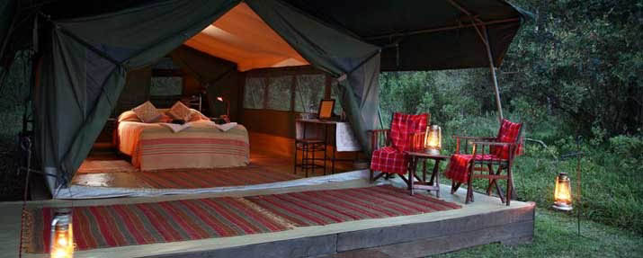 Elephant Pepper Camp
