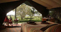 Elephant Pepper Camp