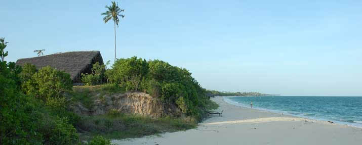 Guludo