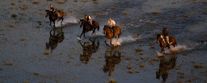 Okavango Horse Safaris