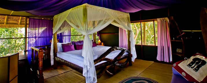 Tent With A View