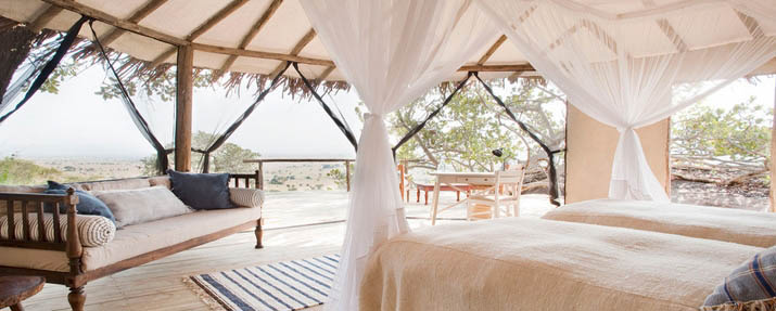 Nomad Lamai Serengeti