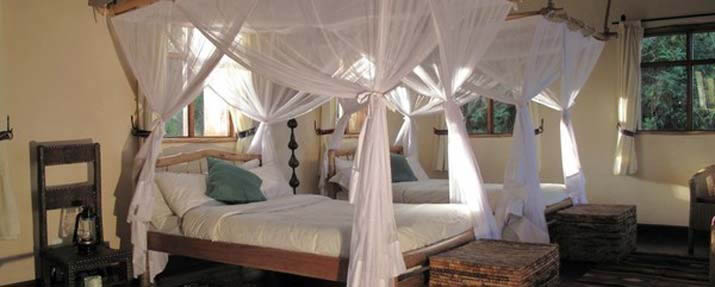 Virunga Lodge
