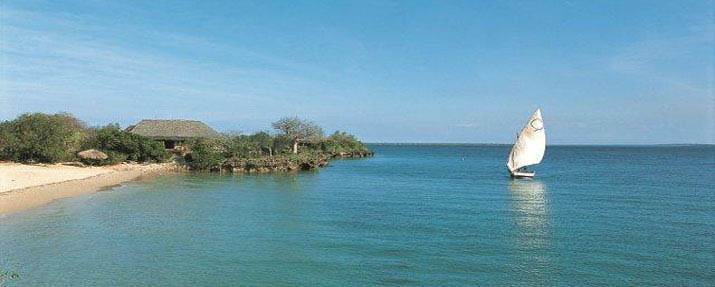 Quilalea