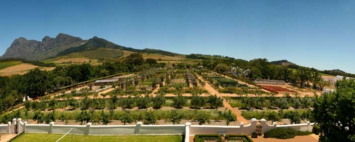 Babylonstoren