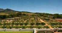 Babylonstoren