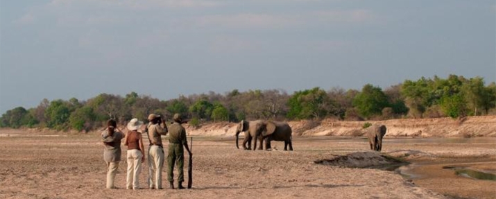 Walking In Zambia