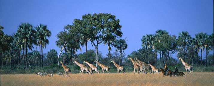 Riding In Botswana