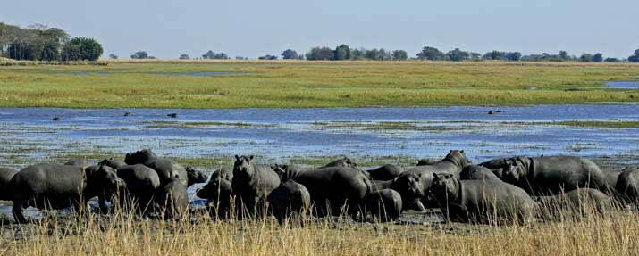 Kafue