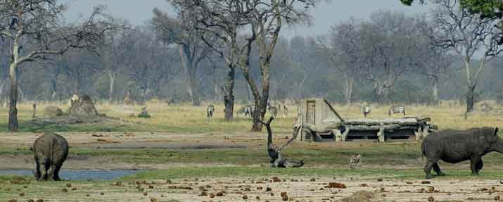 Hwange