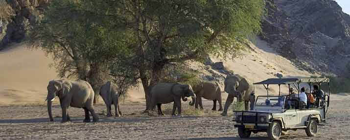Damaraland