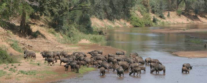 Kruger