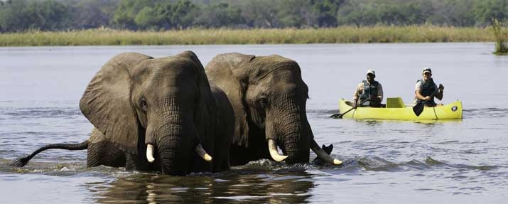 Zambia Safaris