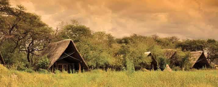 Zimbabwe Safaris