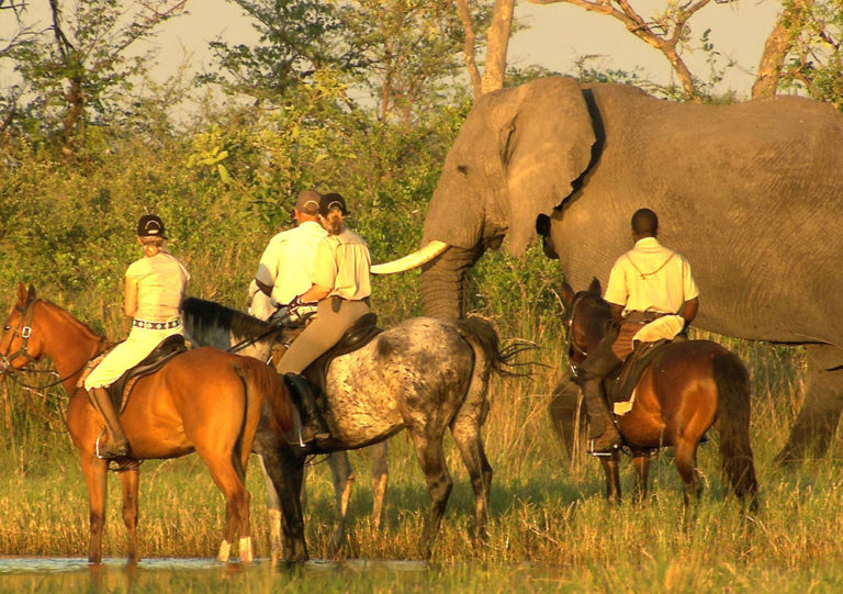 riding safaris in africa