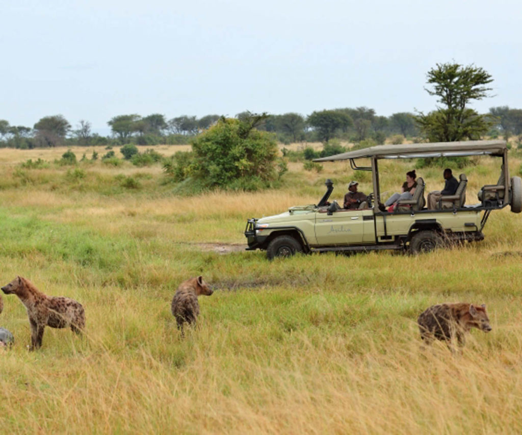 All about African Safari Vehicles with the experts at Africa Odyssey