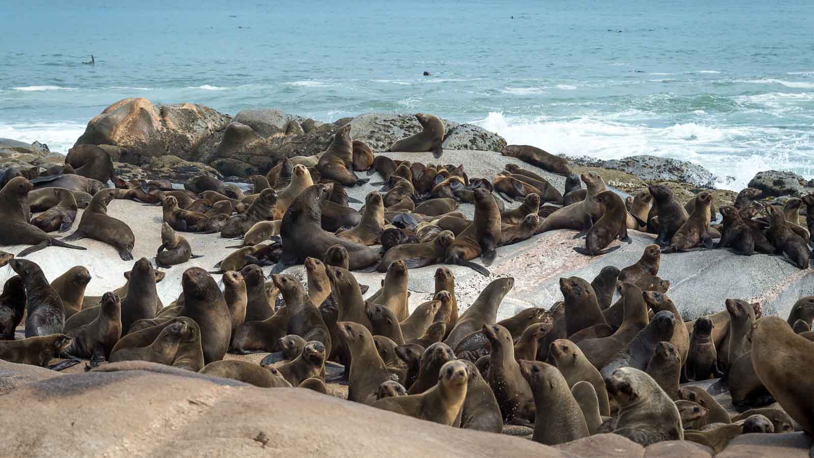 Skeleton Coast | Namibia Holidays & Camps | Africa Odyssey